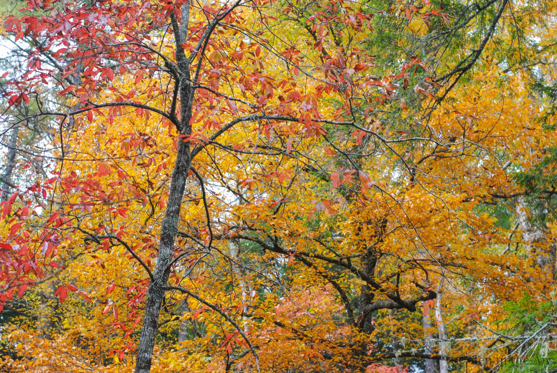 Autumn Travel Essentials