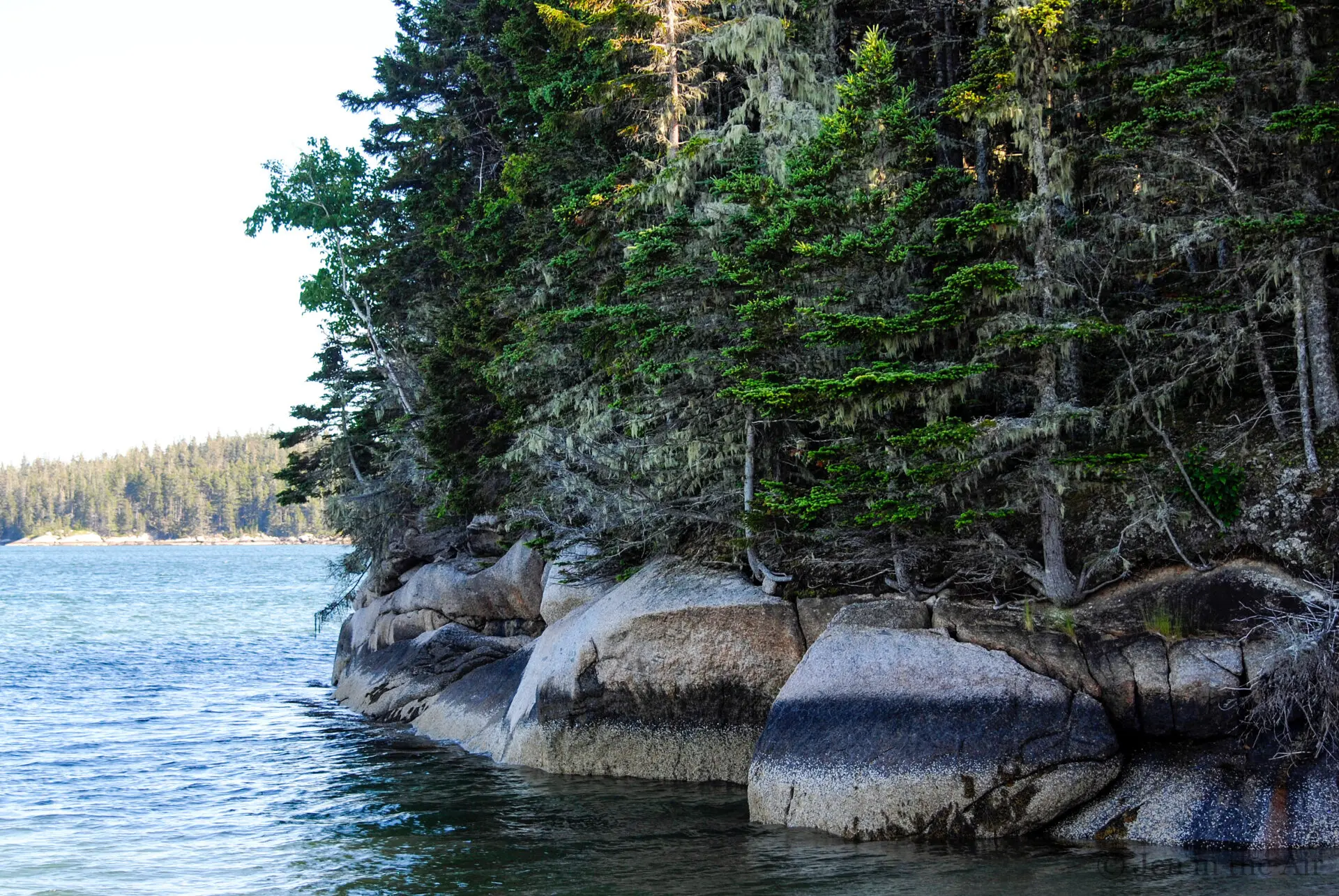 Babson Island Preserve, Maine