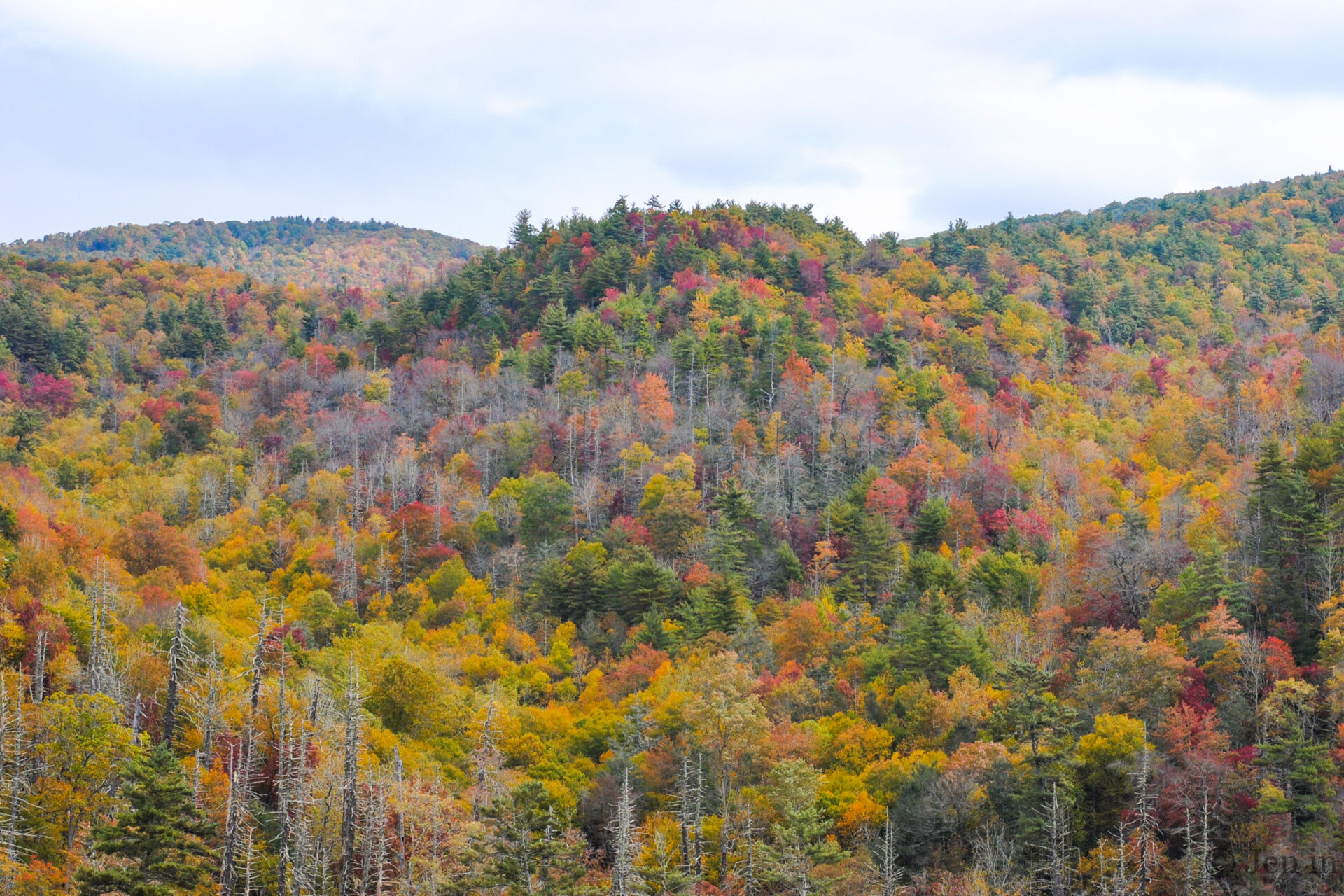 Smoky Mountains