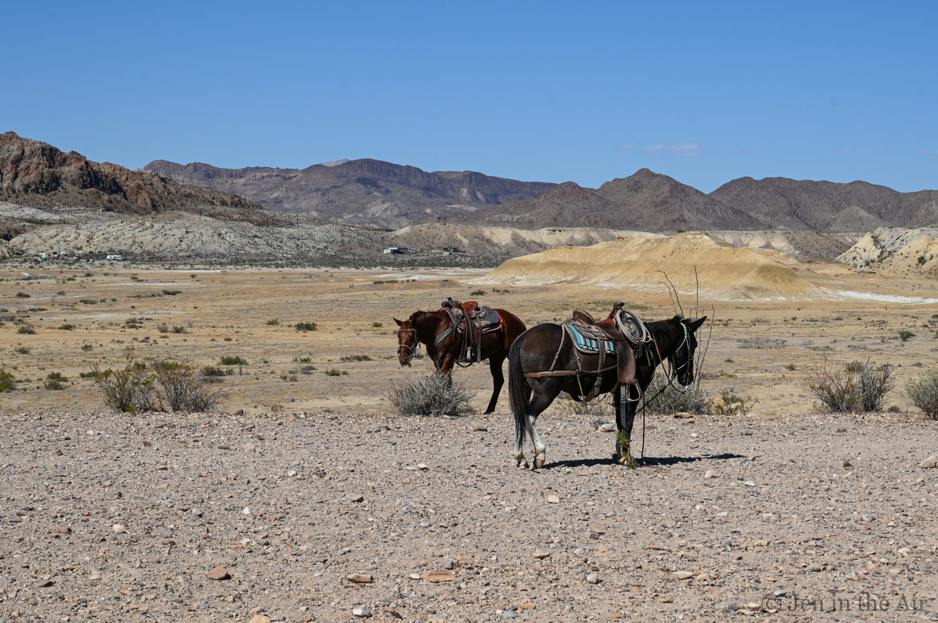 Big Bend Stables, Terlingua, Texas